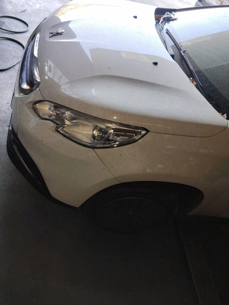 Peugeot 2008 (2015) - Despiece - Imagen 3