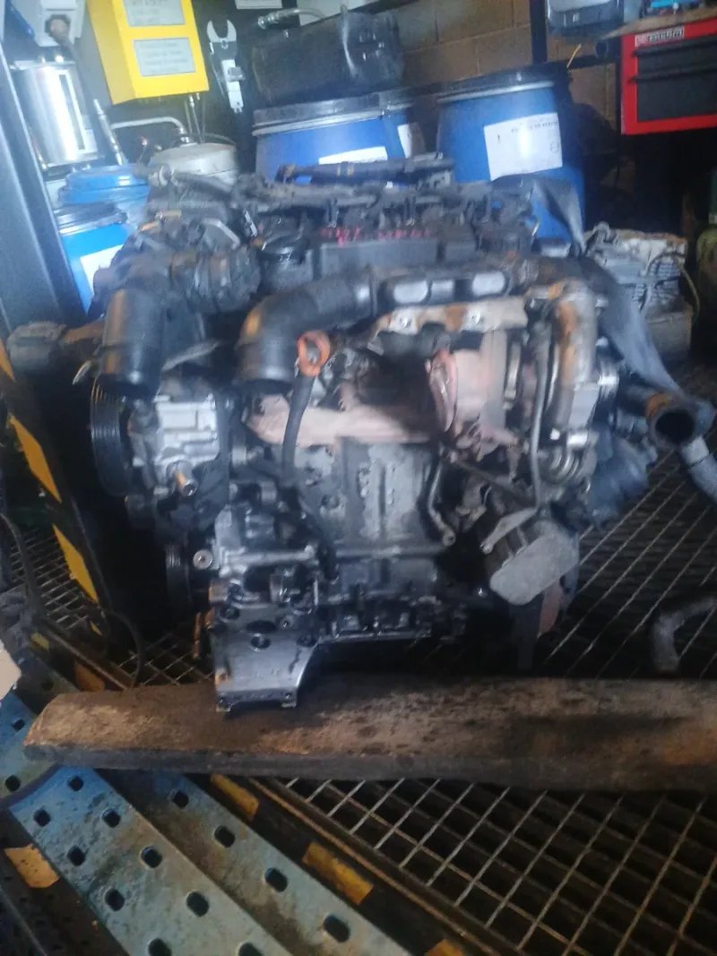 Motor 1.6 HDI 9HT Berlingo - Imagen 2
