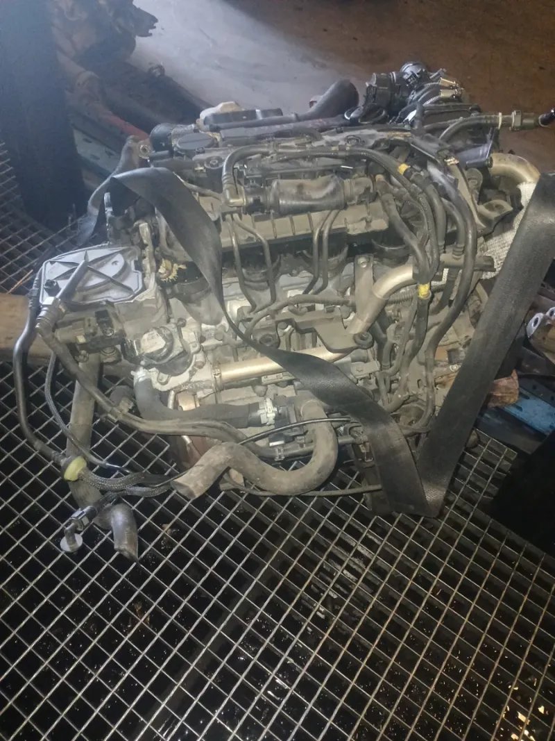 Motor 1.6 HDI 9HT Berlingo - Imagen 4