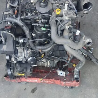Motor Citroen Picasso 2.0 RHY 2004