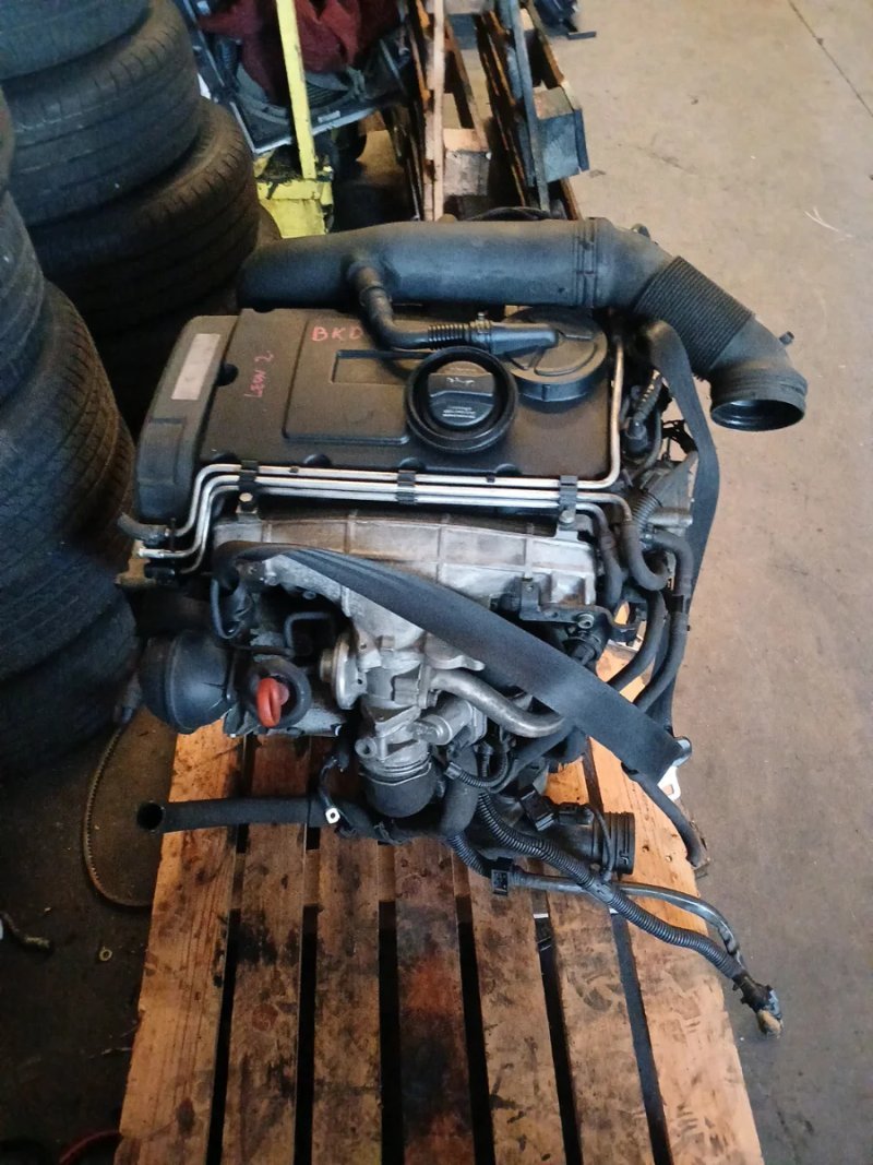Motor 2.0 TDI BKD